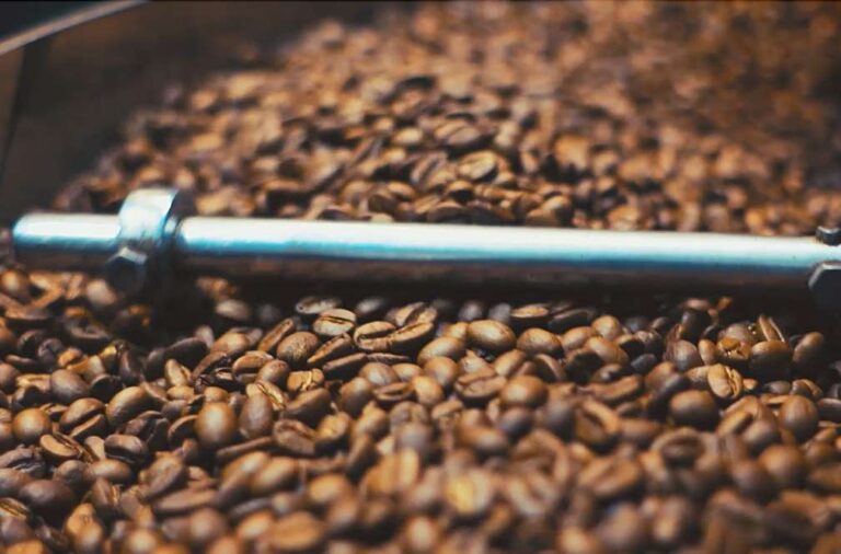 Buena Vista quiere que el país valore que tiene “uno de los mejores cafés del mundo"