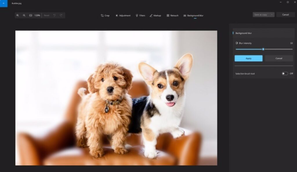 Windows Fotos prepara el desenfoque automático del fondo y la búsqueda de fotografías por contenido en OneDrive